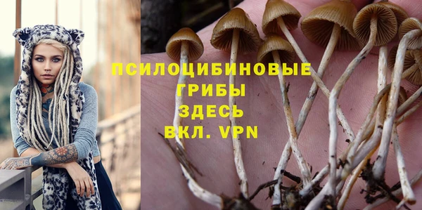 2c-b Коряжма