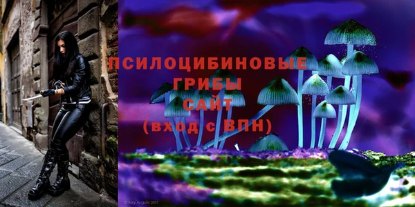 мдпв Киреевск