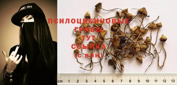 2c-b Коряжма