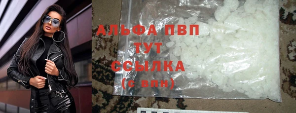 мяу мяу мука Кирс