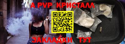 шишки Аргун
