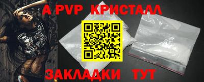 шишки Аргун