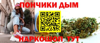 шишки Аргун