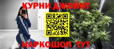 шишки Аргун