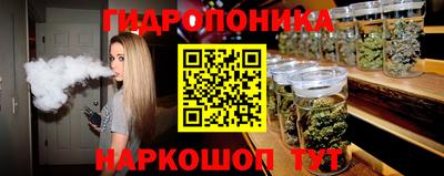 шишки Аргун