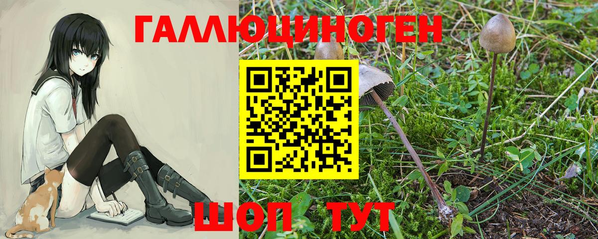 Менделеевск  Псилоцибиновые грибы ЛСД  Вход с VPN  Псилоцибиновые грибы ЛСД 
